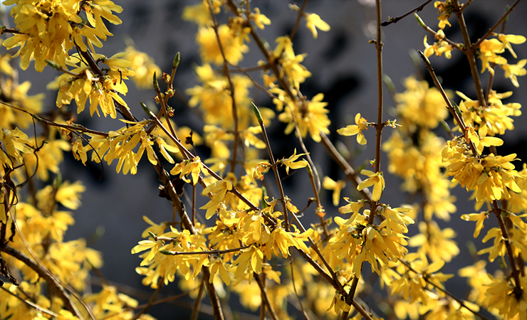 手機(jī)攝影大賽