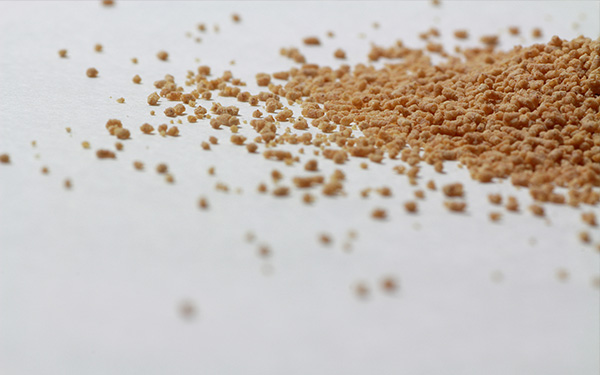 板藍(lán)根顆粒